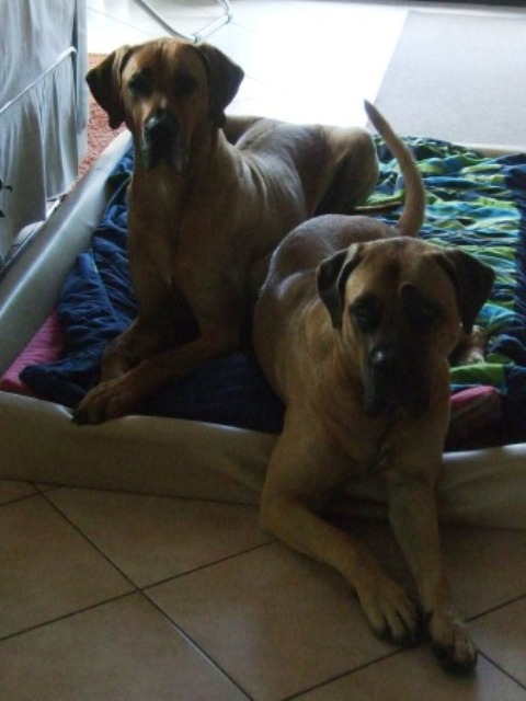 Julie&Lennox Julie&Lennox