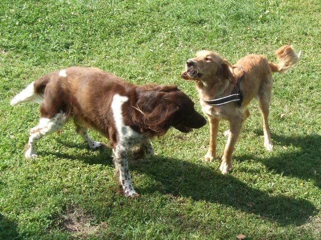 Hermes mit Charlie Hermes mit Charlie