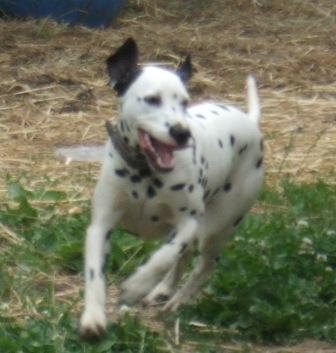 Lili Lili