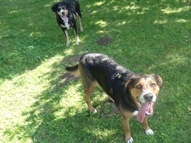 Lucy_MAddy Lucy_Maddy