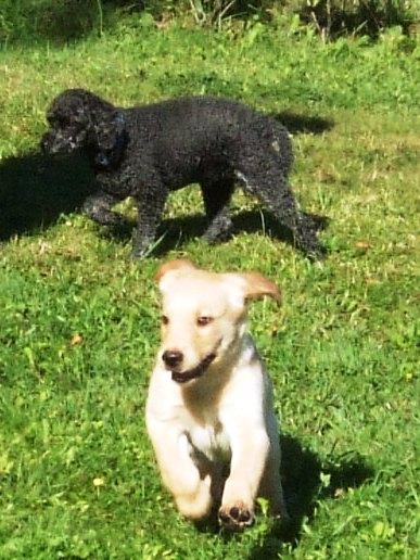 Mozart mit Sissy Mozart mit Sissy