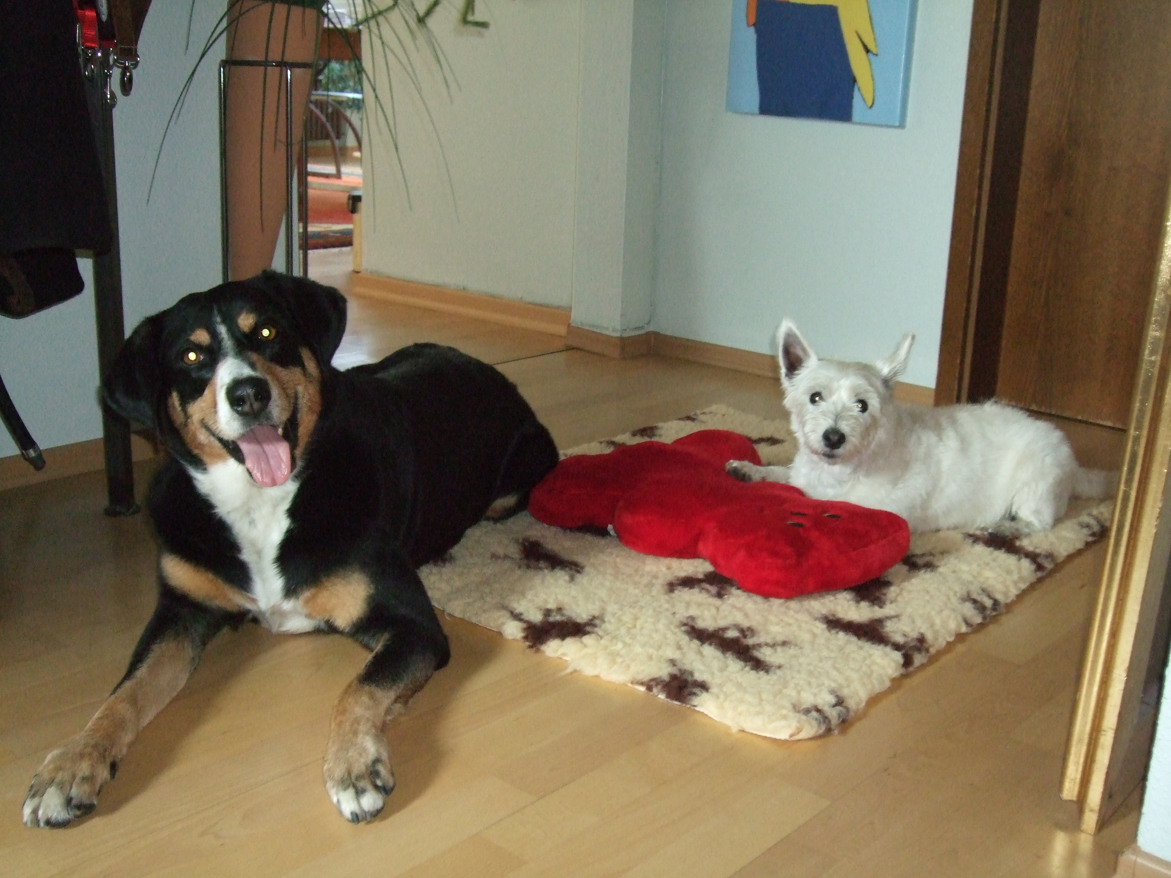 Bärbel&Maddy Bärbel&Maddy