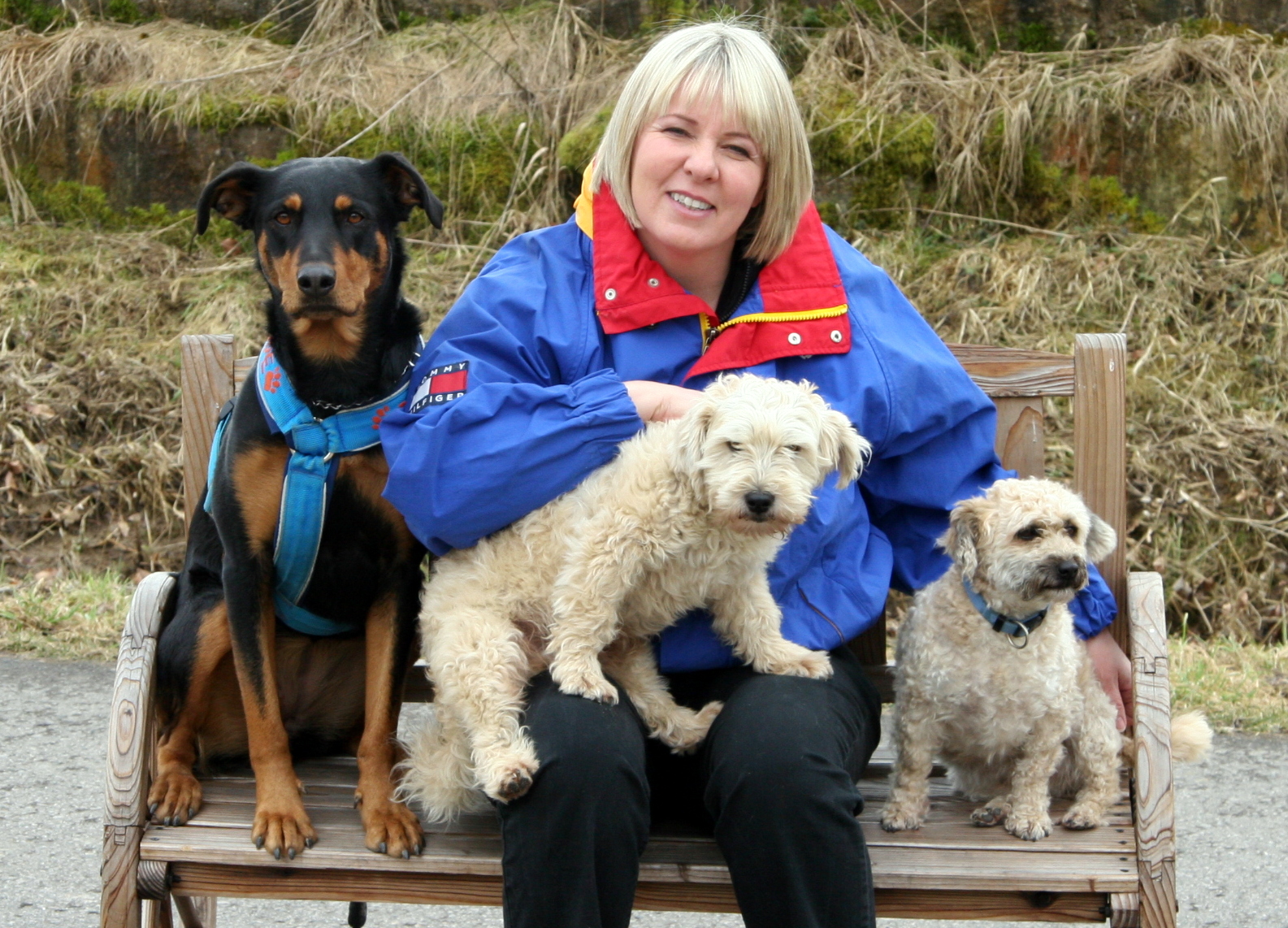 Familienhunde Familienhunde